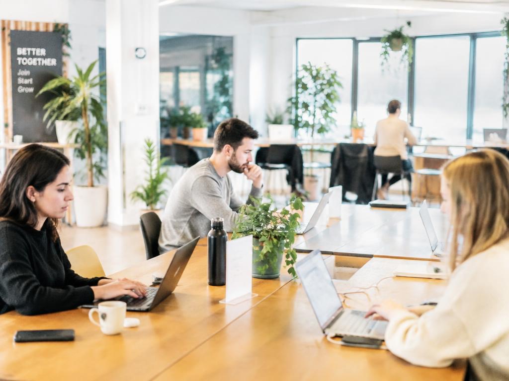 Professionals working at shared coworking desks